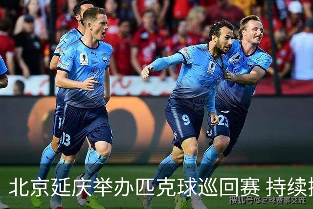 北京延庆举办匹克球巡回赛 持续擦亮户外运动城市名片